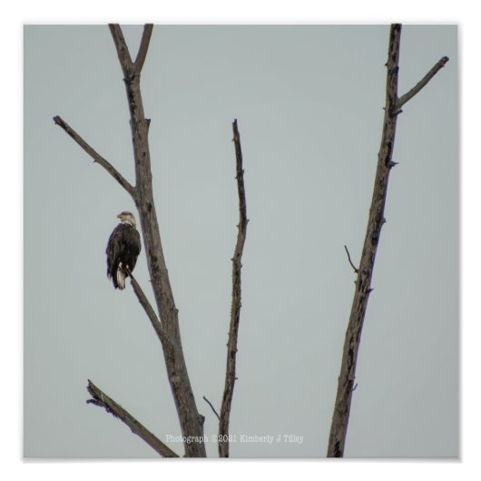 november foto afdruk (Voorkant)