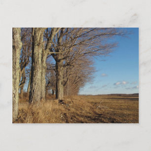 November gebied I Briefkaart