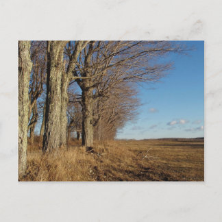 November gebied I Briefkaart