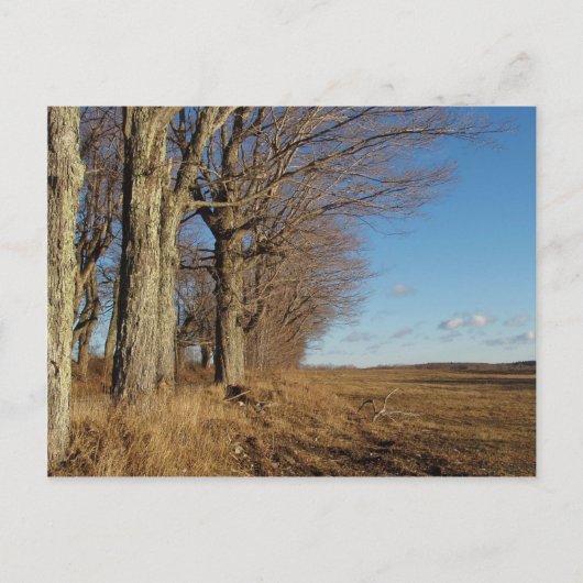 November gebied I Briefkaart (Voorkant)