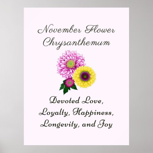November Geboorte Maand Bloem Chrysanthemum Poster (Voorkant)