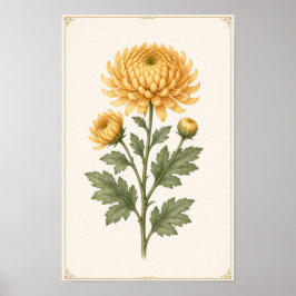 November Geboortebloem Muurkunst, Chrysanthemum mu Poster