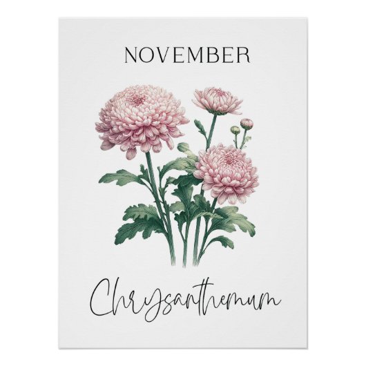 November Geboortemaand Chrysanthemum Bloem Perfect Poster (Voorkant)
