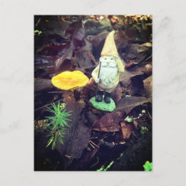 November Gnome Briefkaart
