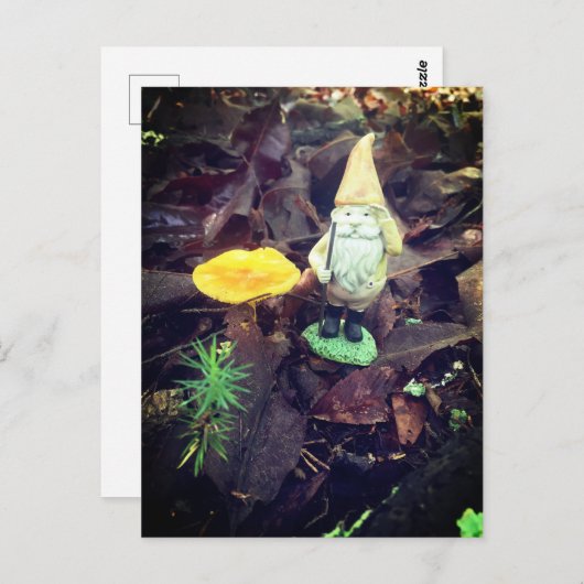 November Gnome Briefkaart (Voorkant / Achterkant)