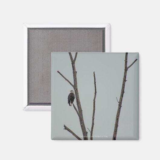 november magneet (Voorkant / Achterkant)