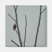 november magneet (Voorkant)