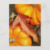 November-ontwerp Briefkaart (Voorkant)