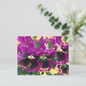 November Pansies Briefkaart (Staand voorkant)