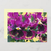 November Pansies Briefkaart (Voorkant / Achterkant)