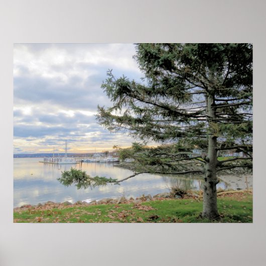 November Poster (Voorkant)