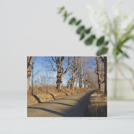 November Road Briefkaart (Staand voorkant)