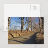 November Road Briefkaart (Voorkant / Achterkant)