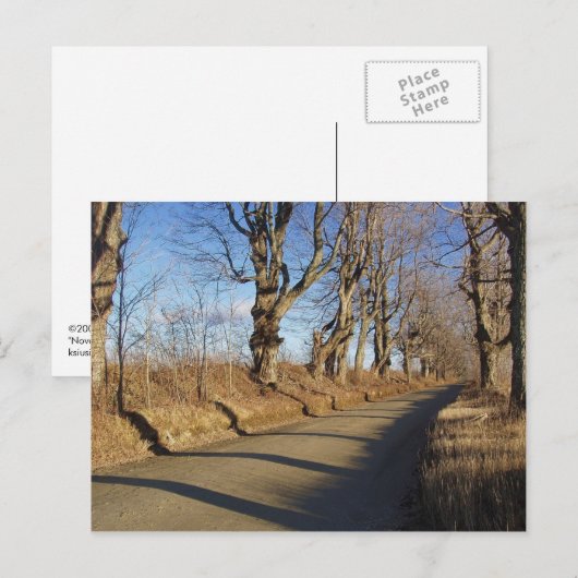 November Road Briefkaart (Voorkant / Achterkant)