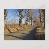 November Road Briefkaart (Voorkant)