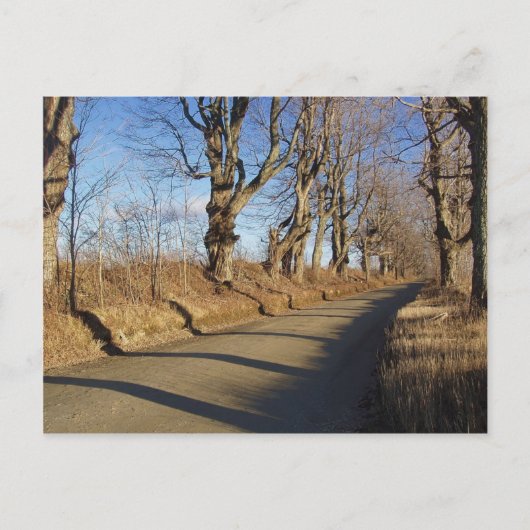 November Road Briefkaart (Voorkant)