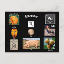 November Scorpio Geboortemaand Ansichtkaart