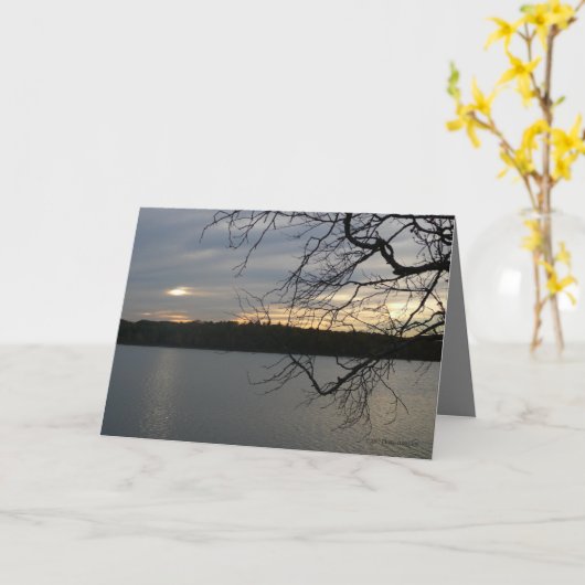 November Sky Kaart (Gele Bloem)