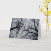 November Sky Through Trees Foto Kaart (Gele Bloem)