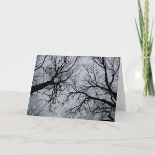 November Sky Through Trees Foto Kaart
