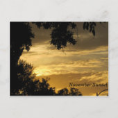 November Sunset Briefkaart (Voorkant)