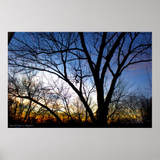 November Sunset van mijn Venster Poster