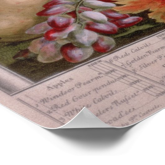 November "Twaalf maanden fruit" Poster (Hoek)