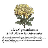 November Verjaardag Maand Chrysanthemum 16 oz Thermosbeker