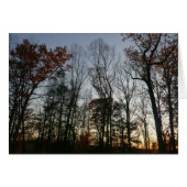 November zonsondergang (Voorkant Horizontaal)