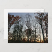 November zonsondergang briefkaart (Voorkant / Achterkant)