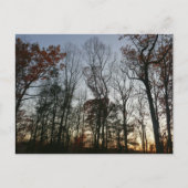 November zonsondergang briefkaart (Voorkant)