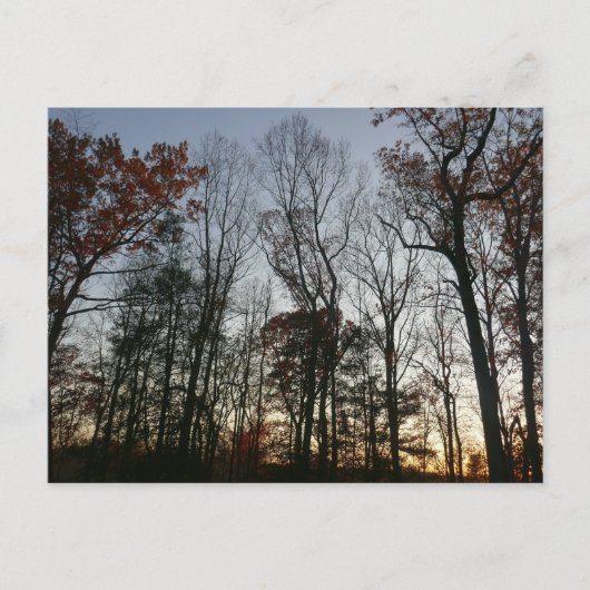 November zonsondergang briefkaart (Voorkant)