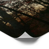 November zonsondergang poster (Hoek)