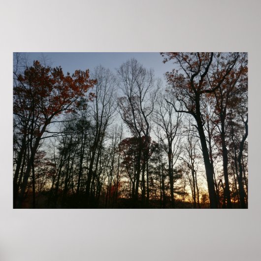 November zonsondergang poster (Voorkant)