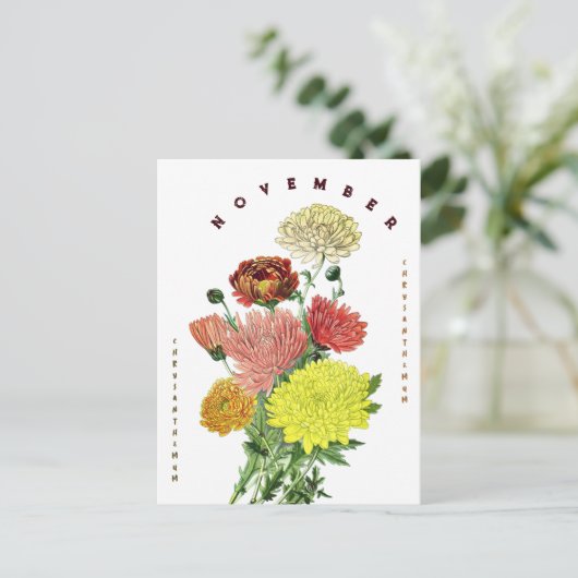 Novermber Maand Bloemen Chrysanthemum Briefkaart (Staand voorkant)