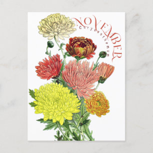 Novermber Maand Bloemen Chrysanthemum Fancy Postca Briefkaart