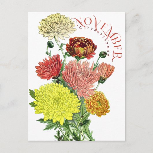 Novermber Maand Bloemen Chrysanthemum Fancy Postca Briefkaart (Voorkant)