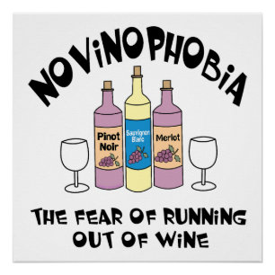 Novinophobia Flessen Perfect Poster