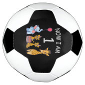 Now I am 1 year old 1st Birthday at the Zoo Baby B Voetbal (Gedraaid)