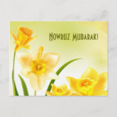 Nowruz Mubarak. Perzisch nieuwjaar Briefkaarten (Voorkant)