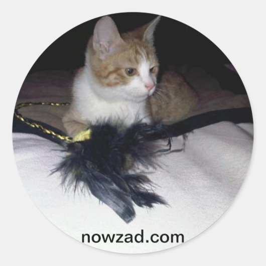 Nowzad Pablo Sticker (Voorkant)