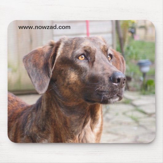 Nowzad Rescue Dog Brin Mousepad Muismat (Voorkant)