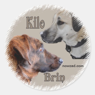 Nowzad Rescue Dogs Brin & Kilo Sticker