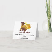 Nowzad Rescue Dogs Notecard Kaart (Achterkant)