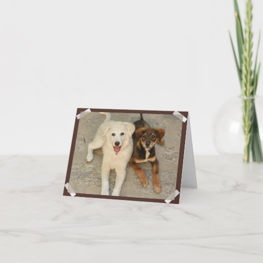 Nowzad Rescue Dogs Notecard Kaart (Voorkant)