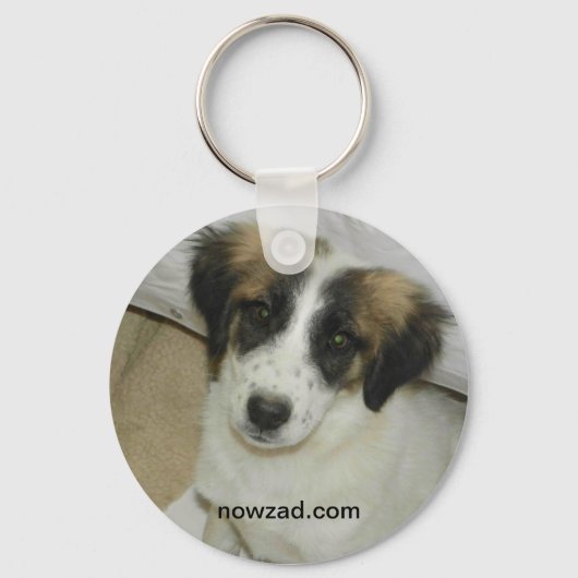 Nowzad Rescue Spike Keyring Sleutelhanger (Voorkant)