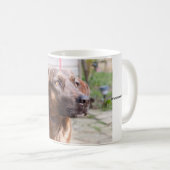 Nowzad Rscue Dog Brin Coffee Mok (Voorkant rechts)