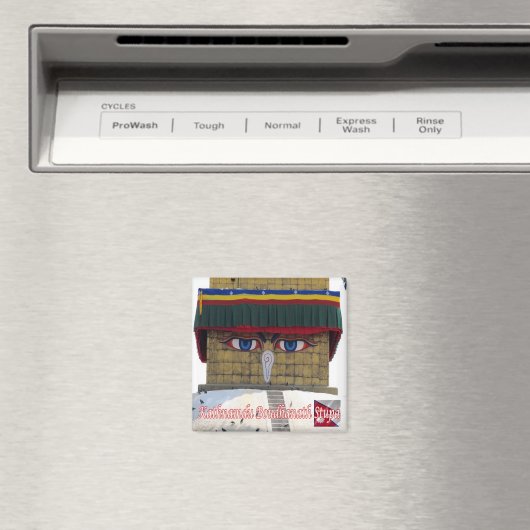 NP006 Boudhanath Stupa KATHMANDU, Nepal, Fridge Magneet (Insitu (Vaatwasser))