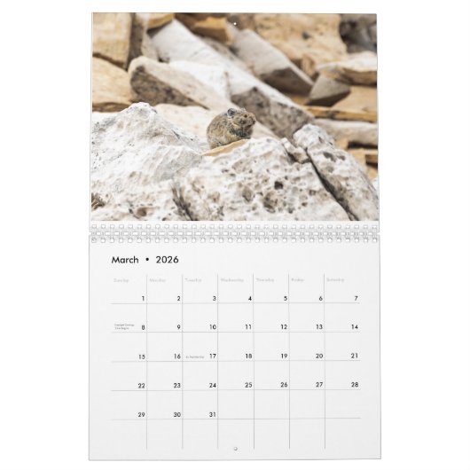 NP-kalender 2021 Montana en Yellowstone Kalender (Mar 2026)