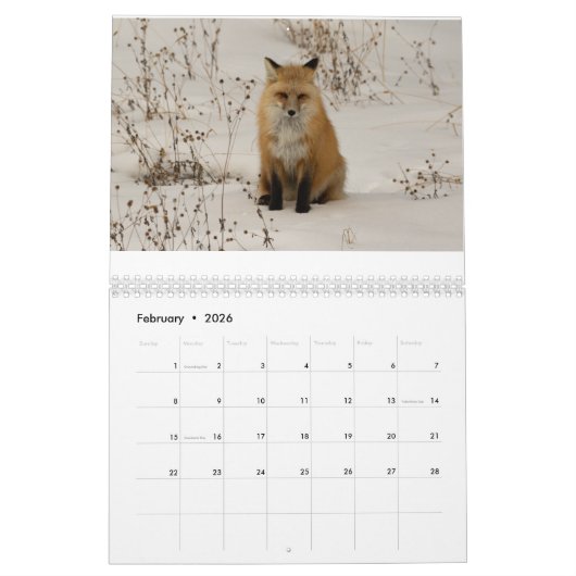 NP-kalender 2021 Montana en Yellowstone Kalender (Feb 2026)